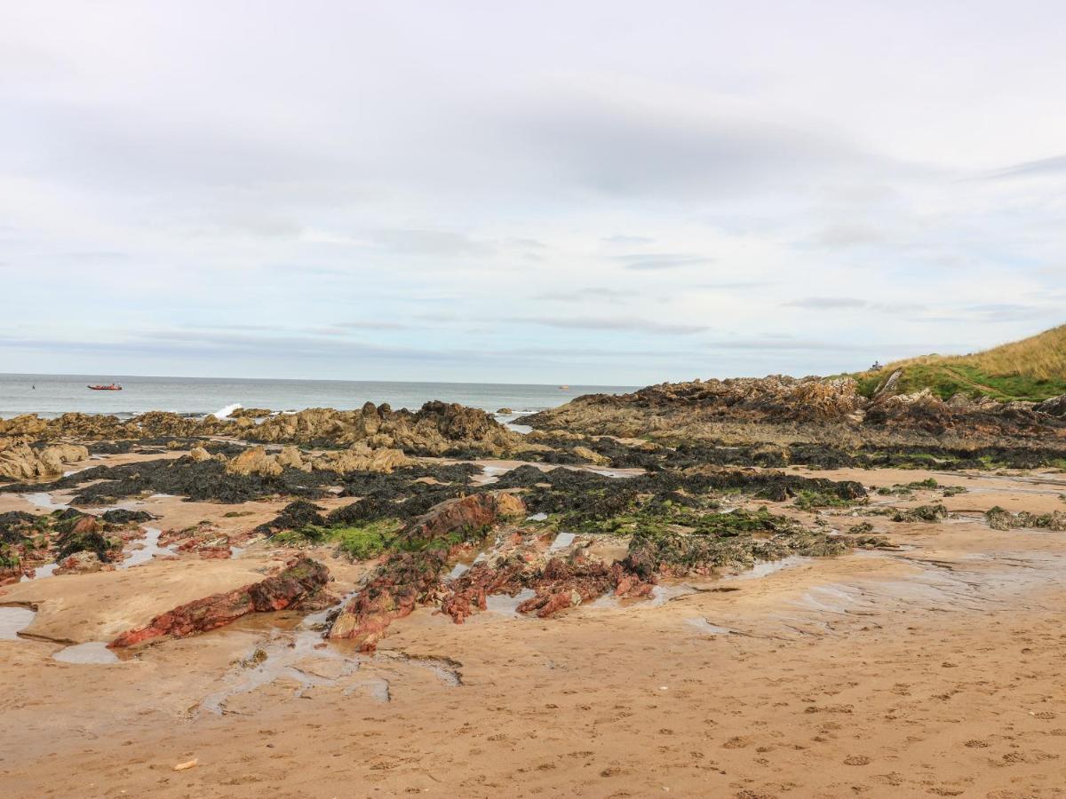Meadow Lodge Coldingham Luaran gambar